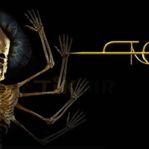 טול להקה | טול | טול הופעות | טול כרטיסים | הופעות בחול | הופעות בחו"ל | הופעות באירופה | דילים להופעות | חבילות נופש | כרטיסים להופעות | טיקאייר הופעות | טיקאייר כרטיסים להופעות |