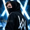 כרטיסים להופעות של אלן ווקר Alan Walker